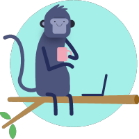 monkey coding